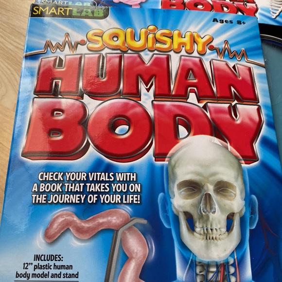 Youth science toy - Squishy Human Body 8+ - Picture 2 of 12